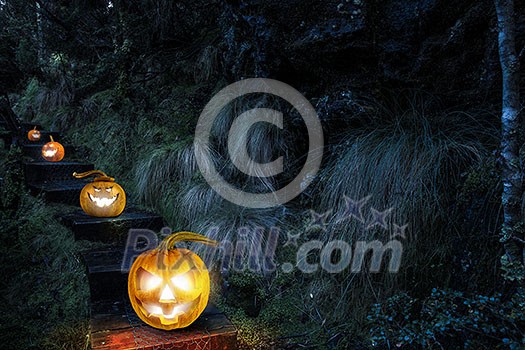 Big orange pumpkin on dark background. Mixed media