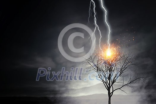 Natural landscape background with lightning striking tree Natural landscape background with lightning striking tree