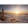 Beautiful winter landscape during sunset over snow covered field