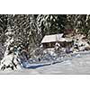 mountain house near pine tree forest, small cabin covered with fresh snow in wild nature at sunny winter day