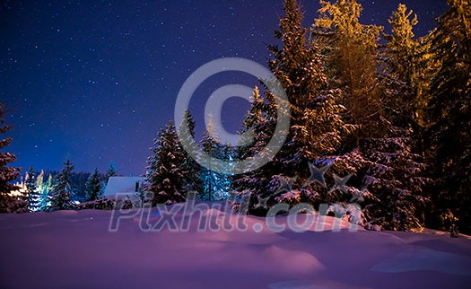 Beautiful winter night landscape with starry sky and snow covered trees Beautiful winter night landscape with starry sky and snow covered trees