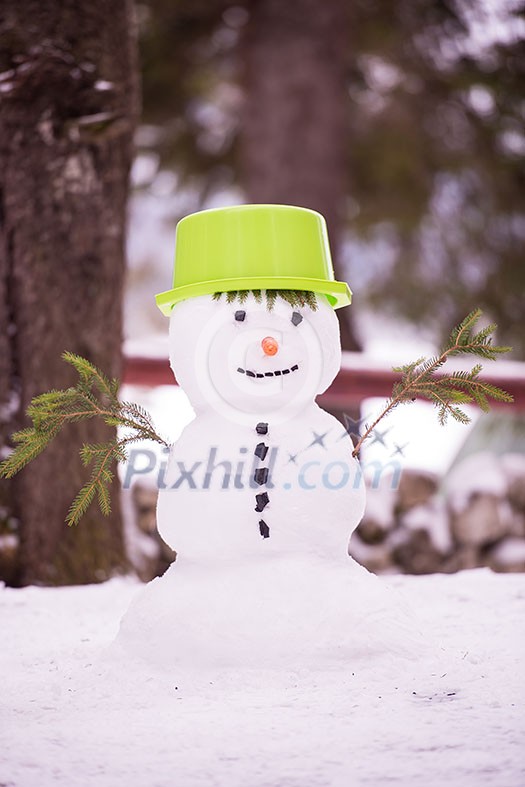 Happy smiling snowman with green hat and carrot nose standing in winter forest Happy smiling snowman with green hat and carrot nose standing in winter forest