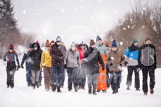 group of young business people walking through beautiful winter landscape with snowflakes around them during a team building in the mountain forest group of young business people walking through beautiful winter landscape with snowflakes around them during a team building in the mountain forest
