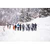 group of young business people walking through beautiful winter landscape with snowflakes around them during a team building in the mountain forest