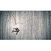 Young pretty ballerina girl making jump in dance