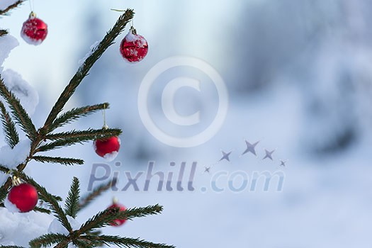 christmas red balls on pine tree covered with fresh snow on beautful winter day sunset christmas red balls on pine tree covered with fresh snow on beautful winter day sunset