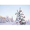 christmas red balls  on pine tree covered with fresh snow on beautful winter day sunset