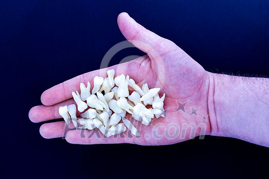 human hand holding a white teeth isolated on blue background Oral dental hygiene Dental health concept Oral care teeth restoration human hand holding a white teeth isolated on blue background Oral dental hygiene Dental health concept Oral care teeth restoration