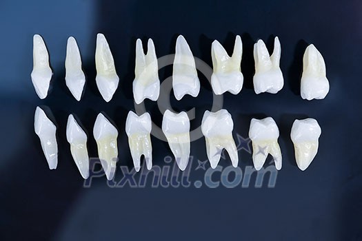 Prosthetic dentistry White teeth on blue background Oral dental hygiene Dental health concept Oral care teeth restoration top view Prosthetic dentistry White teeth on blue background Oral dental hygiene Dental health concept Oral care teeth restoration top view