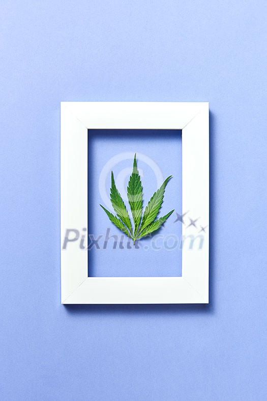 Decorative rectangular handmade frame with green fresh marijuana leaf on a pastel lavender background, copy space. Flat lay. Decorative rectangular handmade frame with green fresh marijuana leaf on a pastel lavender background, copy space. Flat lay.