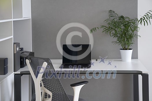 Modern laptop and office equipment on a table and shalves. Daylight office interior with orthopaedic chair, white furniture and greenery pot on a desk. Modern laptop and office equipment on a table and shalves. Daylight office interior with orthopaedic chair, white furniture and greenery pot on a desk.