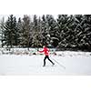 Cross-country skiing: young woman cross-country skiing on a  winter day (motion blurred image)