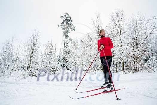 Cross-country skiing: young woman cross-country skiing on a winter day, taking a break to apreciate the snowy forest environment (color toned image) Cross-country skiing: young woman cross-country skiing on a winter day, taking a break to apreciate the snowy forest environment (color toned image)