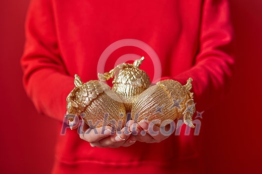 Christmas decoration golden big acorns in the woman's hands on the background of red clothes with copy space. New Year greeting card. Christmas decoration golden big acorns in the woman's hands on the background of red clothes with copy space. New Year greeting card.