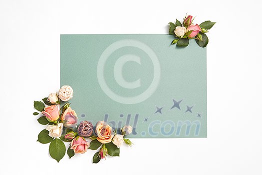 Decoration from natural blossoming roses flowers with green leaves on a light grey background, copy space. Congratulation card for birthday. Decoration from natural blossoming roses flowers with green leaves on a light grey background, copy space. Congratulation card for birthday.