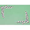 Greeting corners frame from pink flowers on a light green background with copy space. Flat lay. Postcard for Valentine's Day.