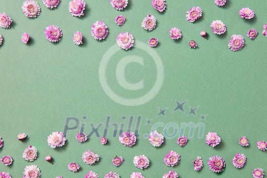 Greeting frame from little pink flowers on a light green background with copy space. Flat lay. Postcard for Valentine's Day. Greeting frame from little pink flowers on a light green background with copy space. Flat lay. Postcard for Valentine's Day.
