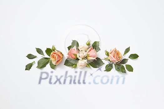 Decoration from beautiful roses flowers with green leaves on a light grey background, copy space. Congratulation card for birthday. Decoration from beautiful roses flowers with green leaves on a light grey background, copy space. Congratulation card for birthday.