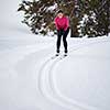 Cross-country skiing: young woman cross-country skiing on a winter day