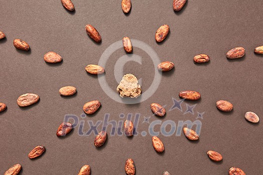 Part of fresh natural cocoa mass in the middle of food pattern from cacao beans on a brown background, copy space. Top view. Dry ingredients for making dark chocolate. Part of fresh natural cocoa mass in the middle of food pattern from cacao beans on a brown background, copy space. Top view. Dry ingredients for making dark chocolate.