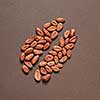Organic natural big bean pettern from cocoa peas on a brown background with soft shadows, copy space.