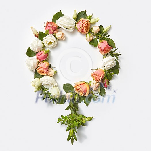 Gender symbol sign of woman craft from flowers and green twigs of plant on a light grey background, copy space. Top view. Gender symbol sign of woman craft from flowers and green twigs of plant on a light grey background, copy space. Top view.