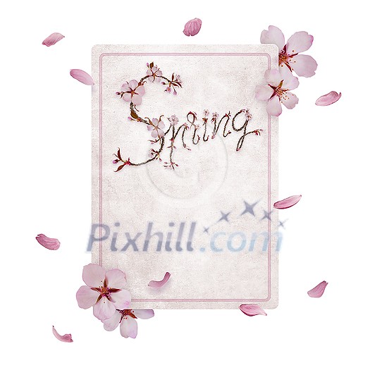 Cherry blossom letters on a vintage paper card with floating petals on soft pink backgound. Cherry blossom letters on a vintage paper card with floating petals on soft pink backgound.