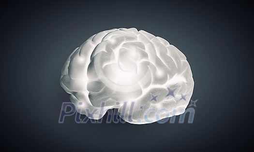 Science image with human brain on gray background Science image with human brain on gray background