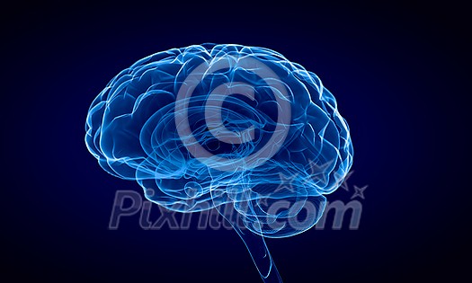 Science image with human brain on blue background Science image with human brain on blue background