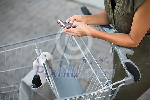 Pretty, young woman going grocery shopping with a trolley Pretty, young woman going grocery shopping with a trolley