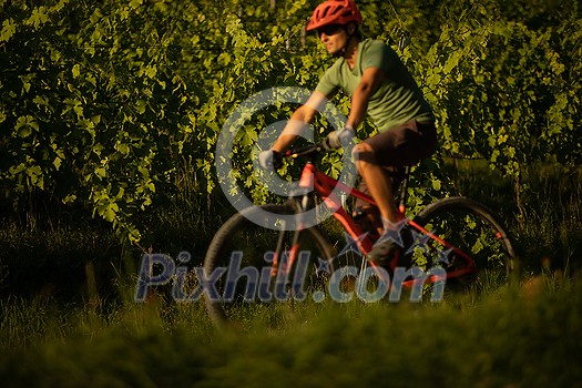 Pretty, young woman biking on a mountain bike enjoying healthy active lifestyle outdoors in summer (shallow DOF) Pretty, young woman biking on a mountain bike enjoying healthy active lifestyle outdoors in summer (shallow DOF)