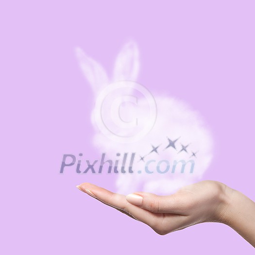 A rabbit made of a cloud is held in the hand by a woman on a pink background. Easter concept. As a gift for the holiday A rabbit made of a cloud is held in the hand by a woman on a pink background. Easter concept. As a gift for the holiday