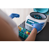 Nurse in a lab carrying out a blood test analysis amid deadly virus pandemic