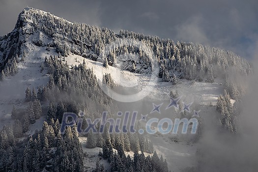 Awesome winter landscape with spruces covered in snow. Frosty day, exotic wintry scene. Magic Carpathian mountains, Ukraine, Europe. Winter nature wallpapers. Splendid christmas scene. Awesome winter landscape with spruces covered in snow. Frosty day, exotic wintry scene. Magic Carpathian mountains, Ukraine, Europe. Winter nature wallpapers. Splendid christmas scene.