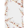 Congratulation card from creative frame with blooming natural twigs of tender pink apricot tree on a white background, copy space.