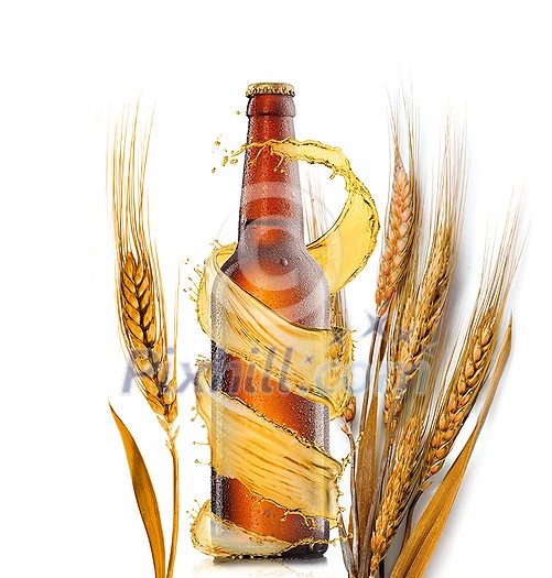 Creative composition from cold brown bottle with water drops, beer splash around and natural wheat ears on a white background, copy space. Refreshing alcohol drinks. Creative composition from cold brown bottle with water drops, beer splash around and natural wheat ears on a white background, copy space. Refreshing alcohol drinks.