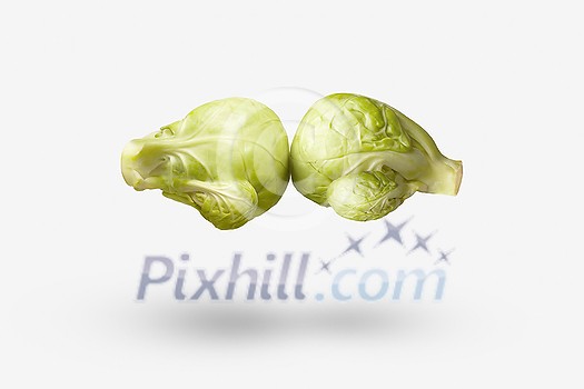 Spot boxing match between two frash natural organic cabbages as boxing gloves flying above white background with soft shadows, copy space. Vegan healthy food concept. Spot boxing match between two frash natural organic cabbages as boxing gloves flying above white background with soft shadows, copy space. Vegan healthy food concept.