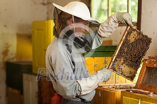 Beekeeper in an apiary holding a frame of honeycomb covered with swarming bees Beekeeper in an apiary holding a frame of honeycomb covered with swarming bees
