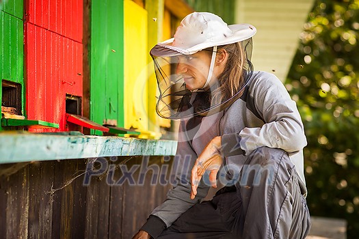 Beekeeper in an apiary holding a frame of honeycomb covered with swarming bees Beekeeper in an apiary holding a frame of honeycomb covered with swarming bees