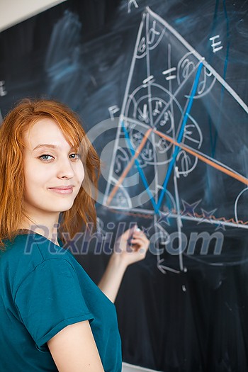 Portrait of a pretty young college student writing on the blackboard during a maths class (color toned image) Portrait of a pretty young college student writing on the blackboard during a maths class (color toned image)