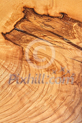 Natural colored wooden textured empty backdrop as a cut logs background, copy space. Blank wooden table. Can be used for your creativity. Natural colored wooden textured empty backdrop as a cut logs background, copy space. Blank wooden table. Can be used for your creativity.