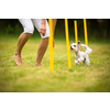 Cute little dog doing agility drill - running slalom, being obediend and making his master proud and happy