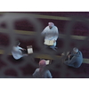 top view of muslim people in mosque reading quran together concept of islamic education and school of holly book kuran