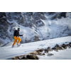 Winter sports - young man walking with snowshoes uphill in high mountains covered with lots of snow