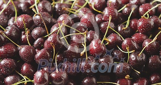 Tracking slow motion video of wet ripe red cherries on a square tray from steel. Cherries background with droplets of water on berries. Soft focus. Shallow depth of field. 4K video. Tracking slow motion video of wet ripe red cherries on a square tray from steel. Cherries background with droplets of water on berries. Soft focus. Shallow depth of field. 4K video.