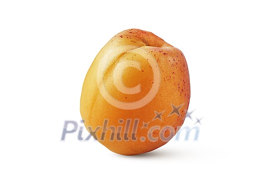 Close up freshly picked ripe natural organic apricot fruit isolated on a white background, copy space. Vegetarian healthy food concept. Close up freshly picked ripe natural organic apricot fruit isolated on a white background, copy space. Vegetarian healthy food concept.