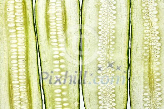 Creative natural background from cut slices of organic freshly picked cucumbers. Macro view. Vegetarian healthy food concept. Creative natural background from cut slices of organic freshly picked cucumbers. Macro view. Vegetarian healthy food concept.
