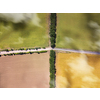Drone aerial top view above agricultural fields with crossed roads in a sunny day with shadows from clouds. Environmental conservation concept. Natural layout for your ideas.