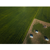 Pigs eating on a meadow in an organic meat farm - aerial image