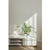 Eco modern interior table for TV with green natural houseplants and shadows on the light wall from the window on a sunny day, place for text. Eco home space.